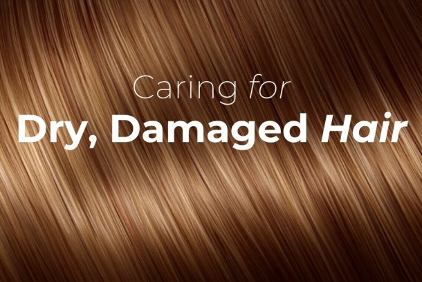 Healthy restored shiny hair after a repairing treatment - Caring for Dry Damaged Hair, Seda Beauty Salon Waltham Cross